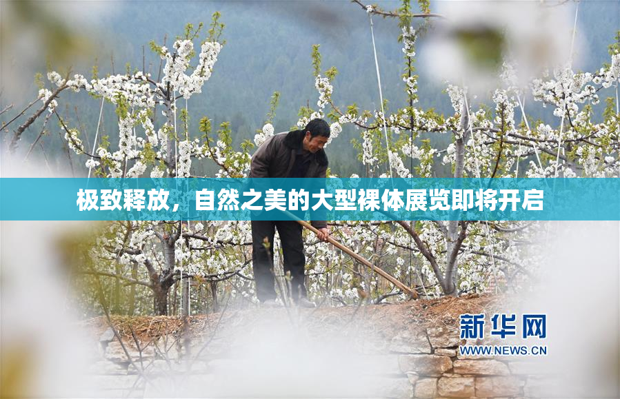 极致释放，自然之美的大型裸体展览即将开启