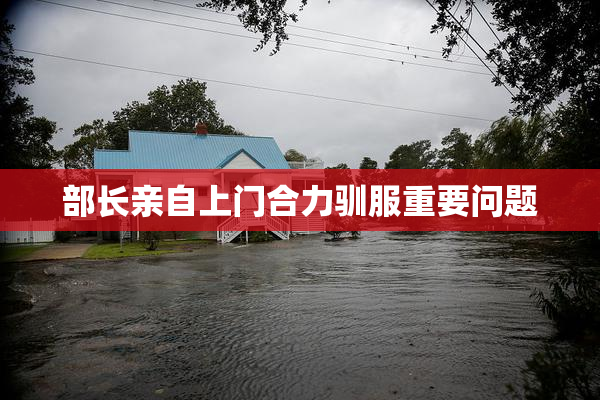 部长亲自上门合力驯服重要问题
