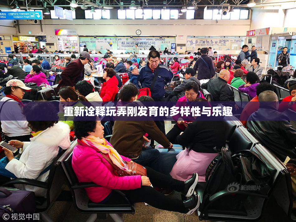 重新诠释玩弄刚发育的多样性与乐趣