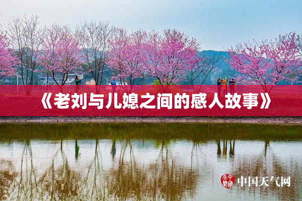 《老刘与儿媳之间的感人故事》