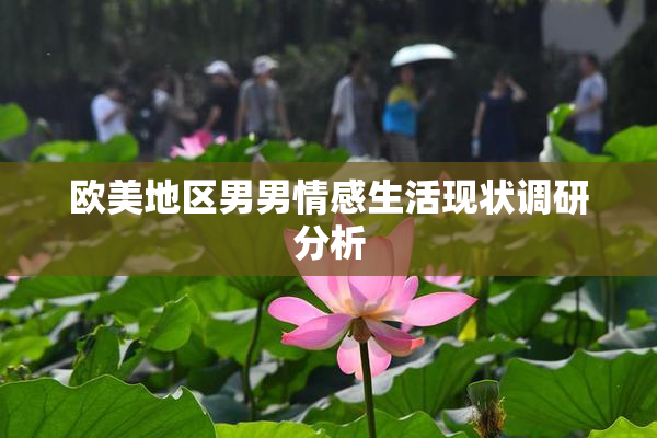 欧美地区男男情感生活现状调研分析