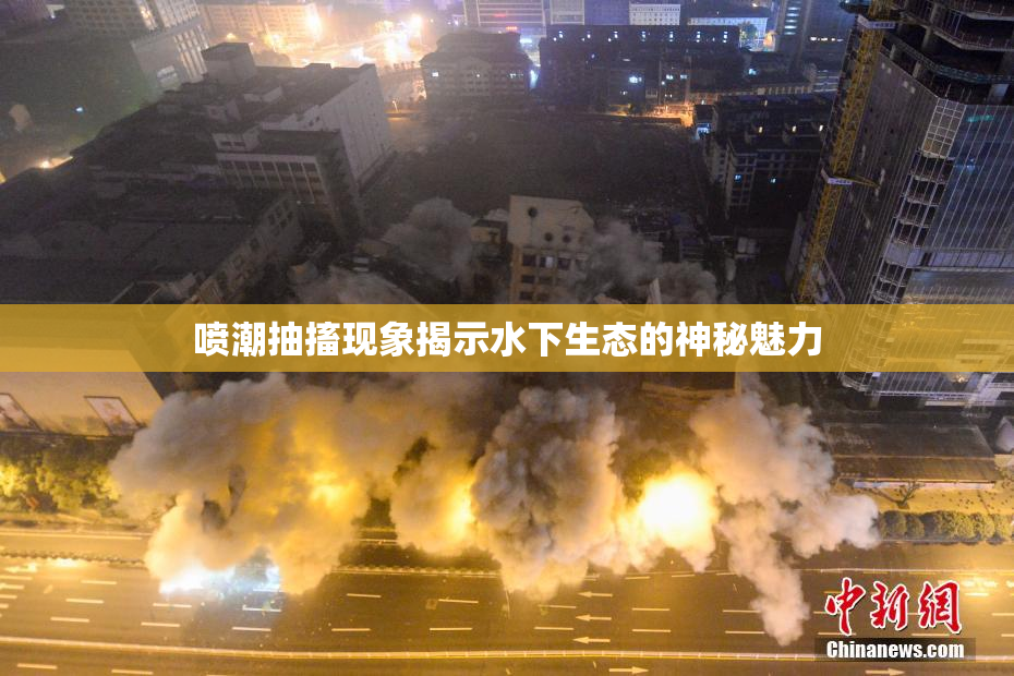 喷潮抽搐现象揭示水下生态的神秘魅力