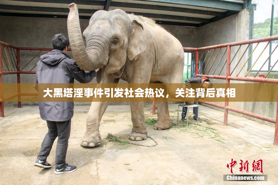 大黑塔淫事件引发社会热议，关注背后真相