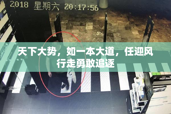 天下大势，如一本大道，任迎风行走勇敢追逐