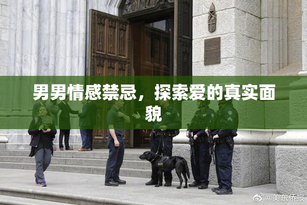 男男情感禁忌，探索爱的真实面貌