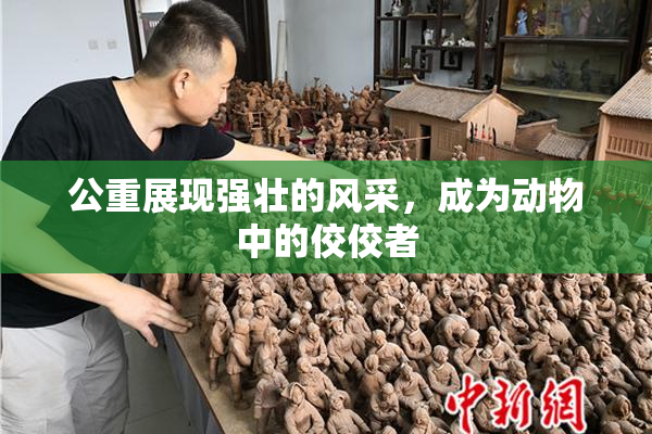 公重展现强壮的风采，成为动物中的佼佼者
