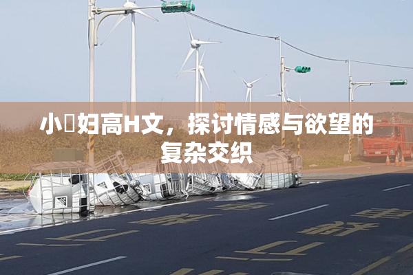 小婬妇高H文，探讨情感与欲望的复杂交织