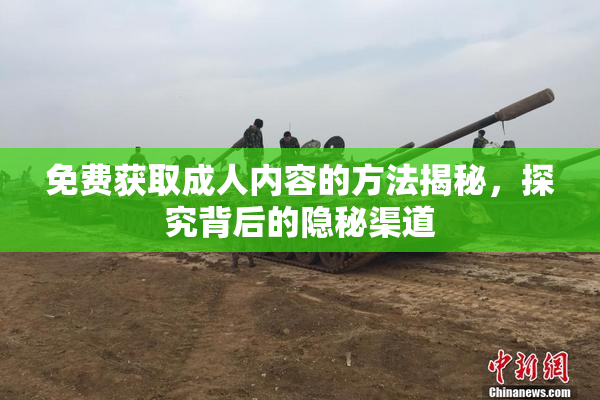 免费获取成人内容的方法揭秘，探究背后的隐秘渠道