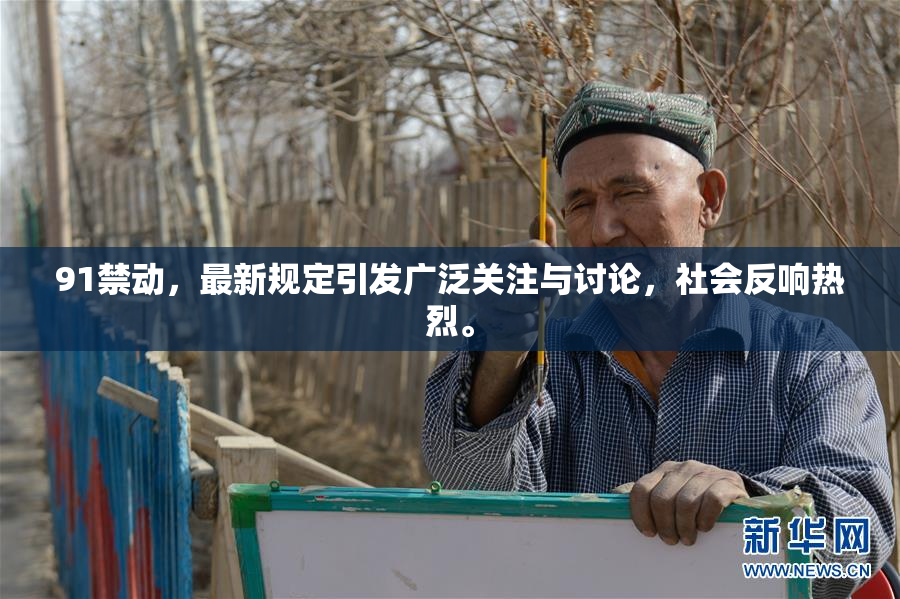 91禁动，最新规定引发广泛关注与讨论，社会反响热烈。