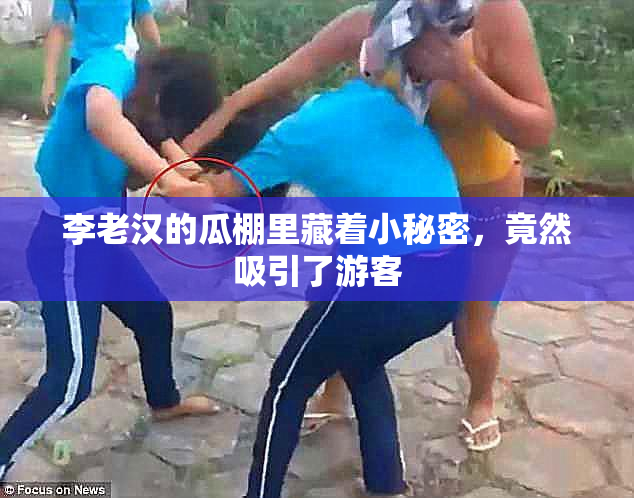 李老汉的瓜棚里藏着小秘密，竟然吸引了游客