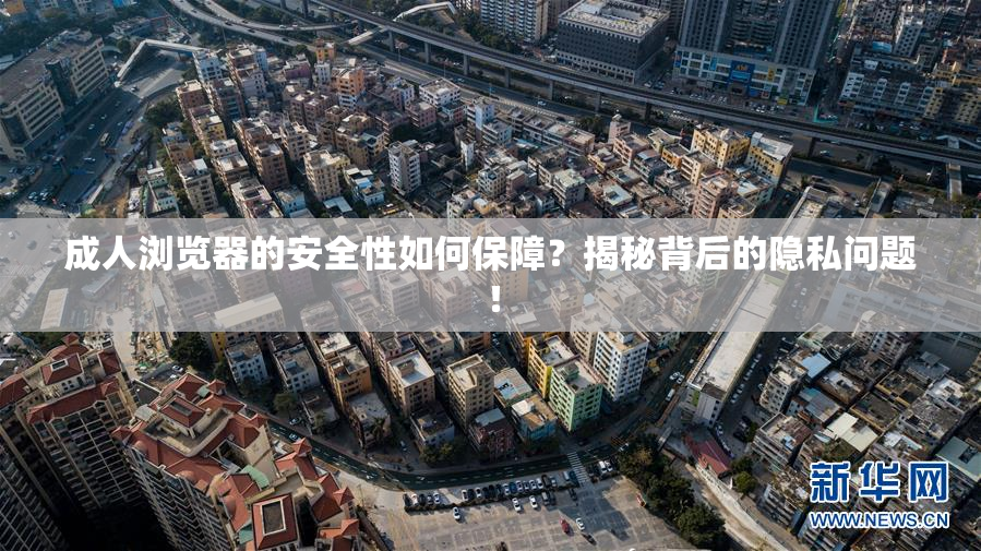成人浏览器的安全性如何保障？揭秘背后的隐私问题！