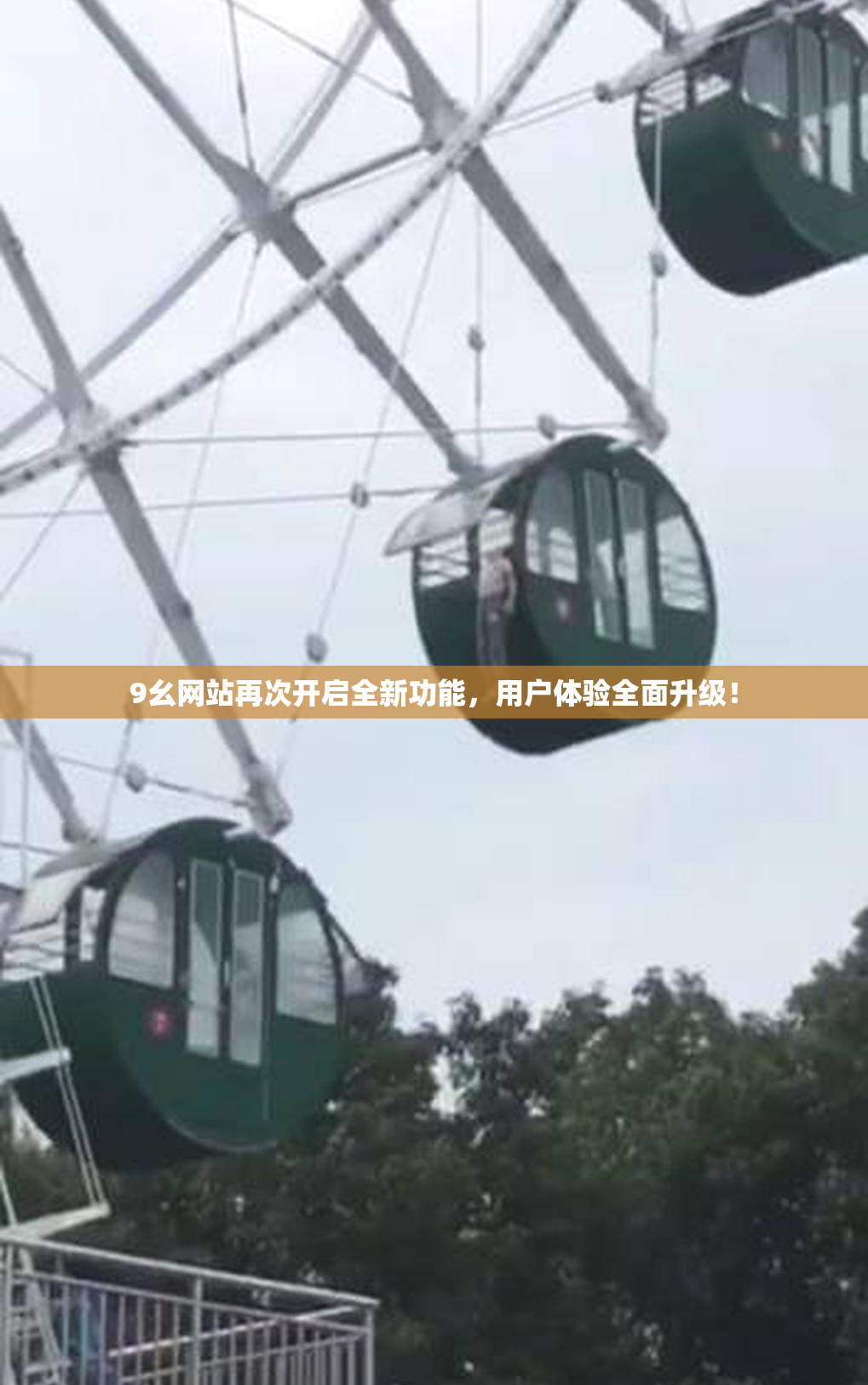 9幺网站再次开启全新功能，用户体验全面升级！