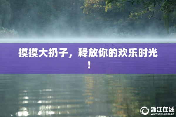 摸摸大扔子，释放你的欢乐时光！