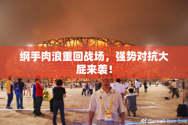 纲手肉浪重回战场，强势对抗大屁来袭！