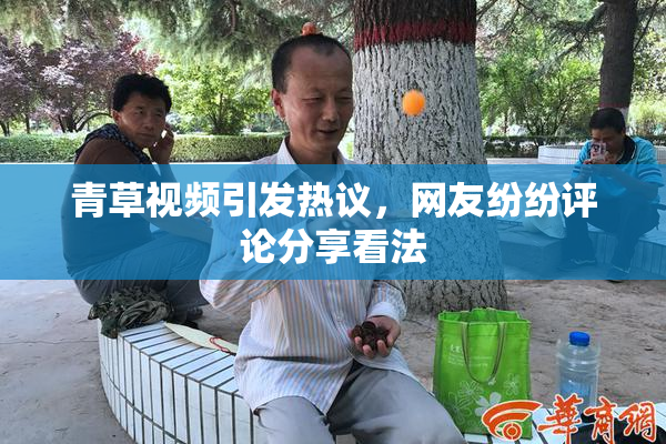 青草视频引发热议，网友纷纷评论分享看法