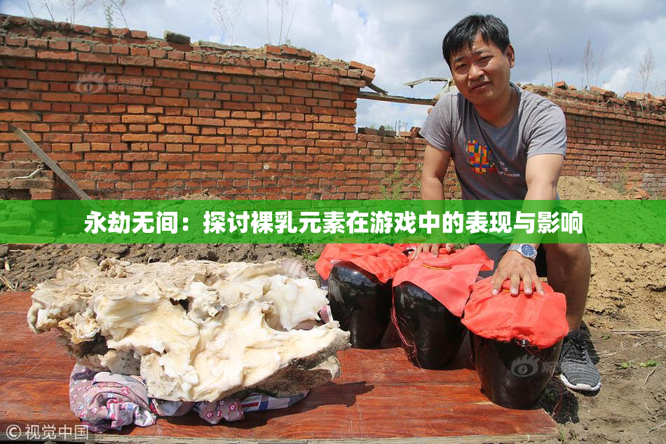 永劫无间：探讨裸乳元素在游戏中的表现与影响