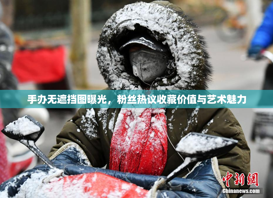 手办无遮挡图曝光，粉丝热议收藏价值与艺术魅力