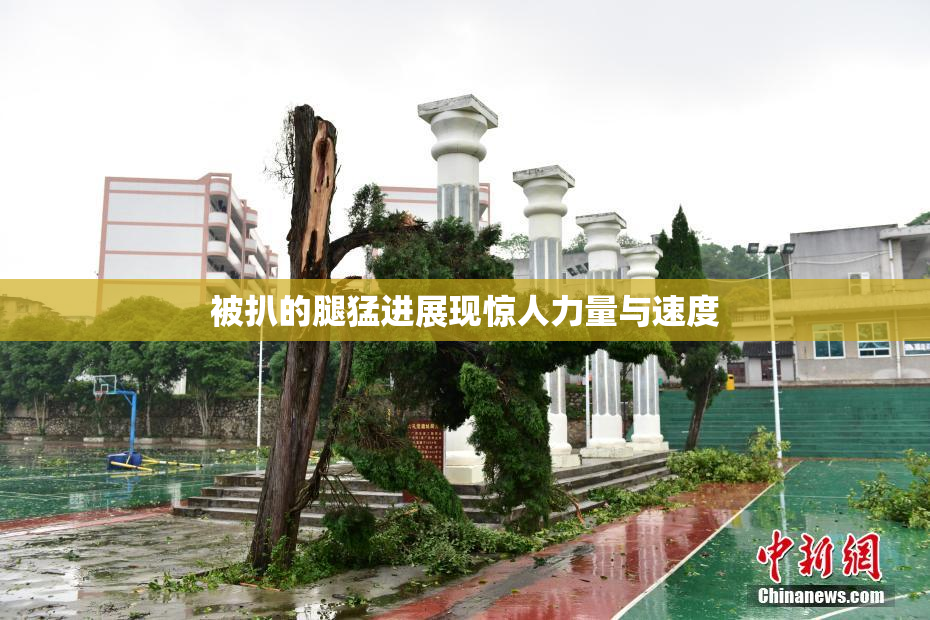 被扒的腿猛进展现惊人力量与速度