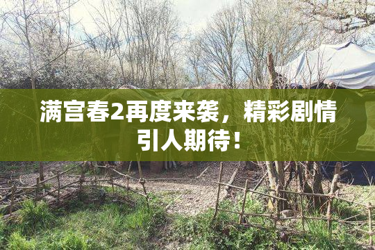 满宫春2再度来袭，精彩剧情引人期待！