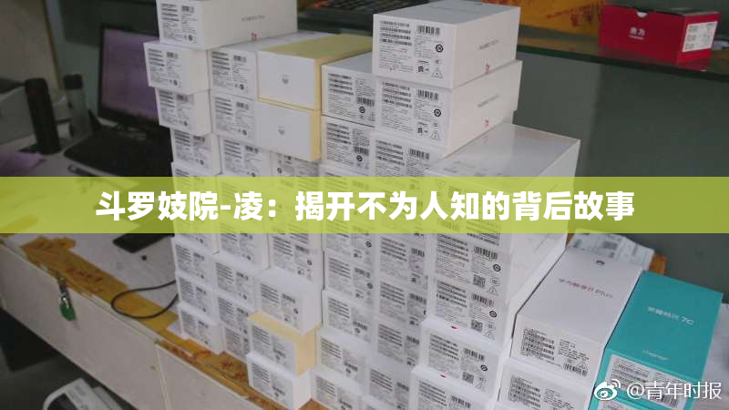 斗罗妓院-凌：揭开不为人知的背后故事