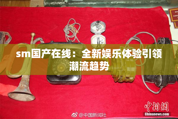 sm国产在线：全新娱乐体验引领潮流趋势