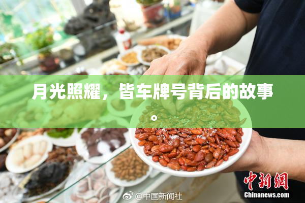 月光照耀，皆车牌号背后的故事。