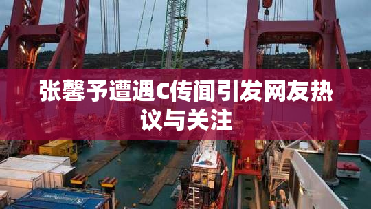 张馨予遭遇C传闻引发网友热议与关注