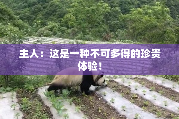 主人：这是一种不可多得的珍贵体验！