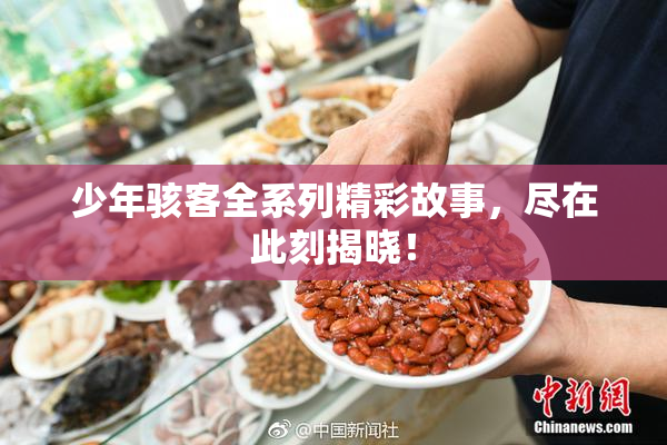 少年骇客全系列精彩故事，尽在此刻揭晓！