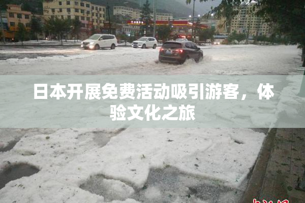 日本开展免费活动吸引游客，体验文化之旅