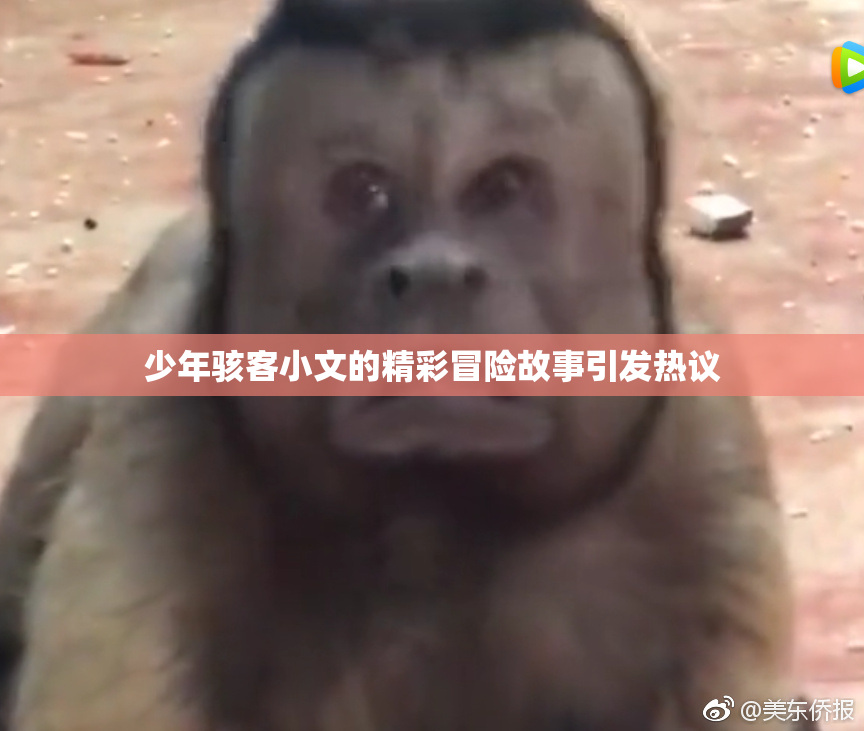 少年骇客小文的精彩冒险故事引发热议