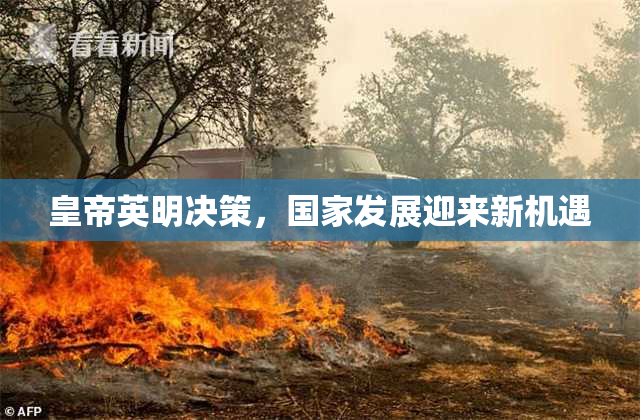皇帝英明决策，国家发展迎来新机遇