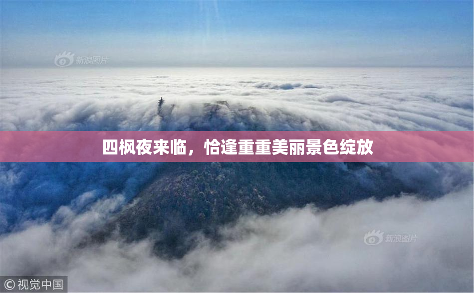 四枫夜来临，恰逢重重美丽景色绽放