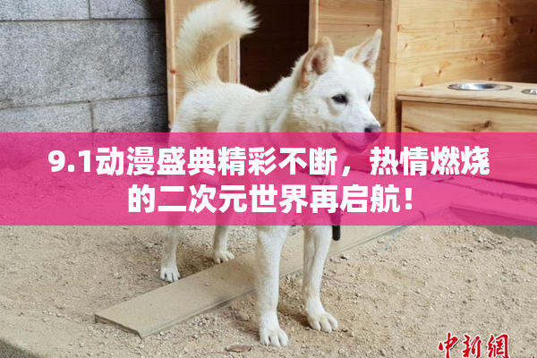 9.1动漫盛典精彩不断，热情燃烧的二次元世界再启航！