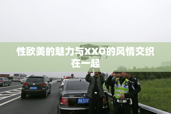 性欧美的魅力与XXO的风情交织在一起