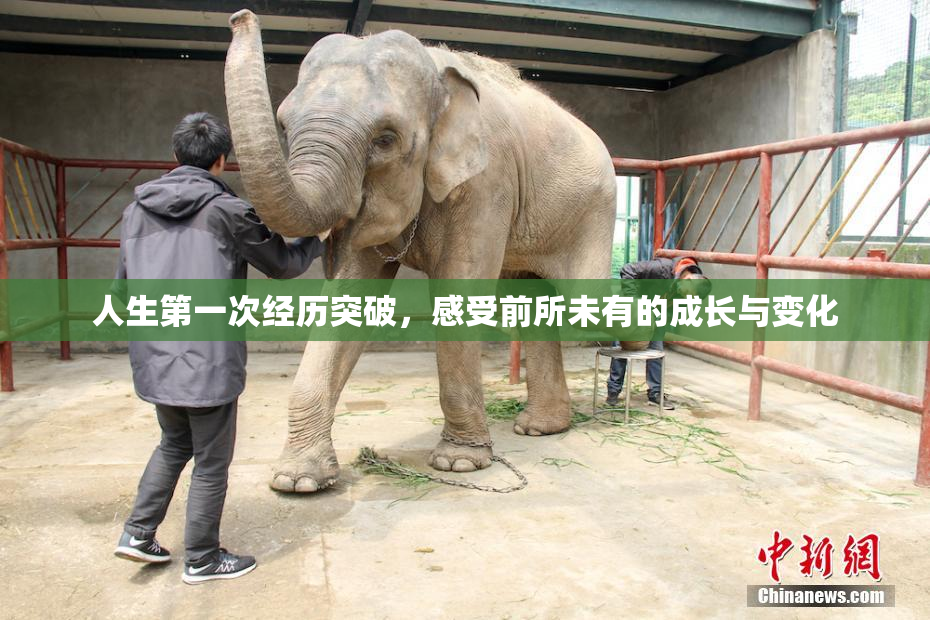 人生第一次经历突破，感受前所未有的成长与变化