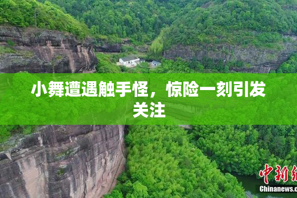 小舞遭遇触手怪，惊险一刻引发关注