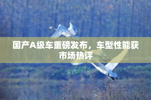国产A级车重磅发布，车型性能获市场热评