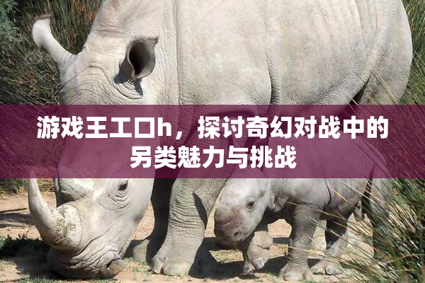 游戏王工口h，探讨奇幻对战中的另类魅力与挑战