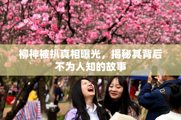 柳神被扒真相曝光，揭秘其背后不为人知的故事