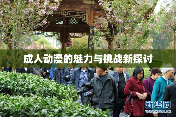 成人动漫的魅力与挑战新探讨