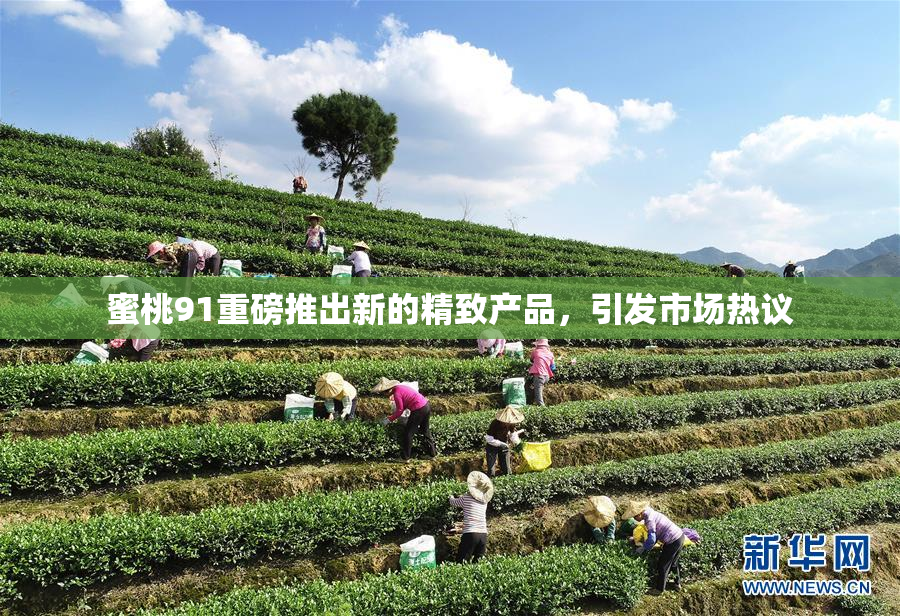 蜜桃91重磅推出新的精致产品，引发市场热议