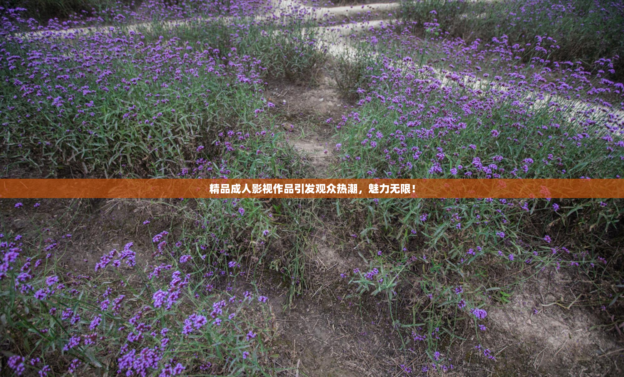 精品成人影视作品引发观众热潮，魅力无限！