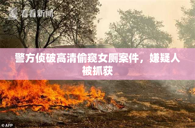 警方侦破高清偷窥女厕案件，嫌疑人被抓获