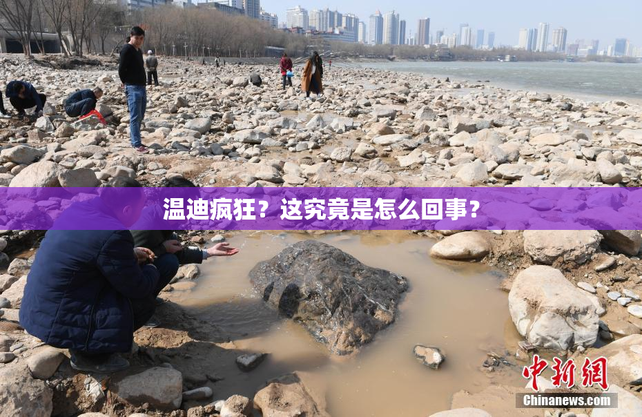 温迪疯狂？这究竟是怎么回事？