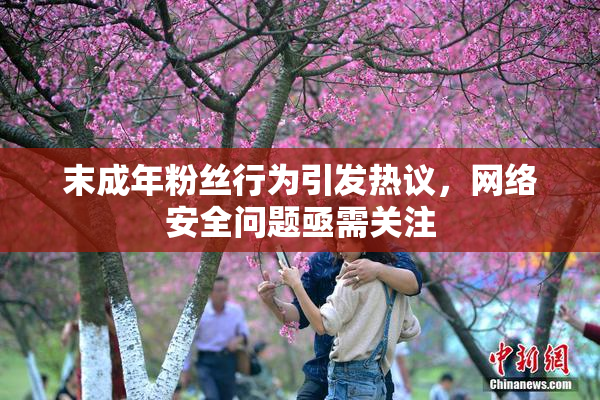 末成年粉丝行为引发热议，网络安全问题亟需关注