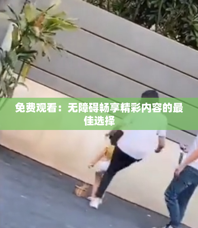 免费观看：无障碍畅享精彩内容的最佳选择