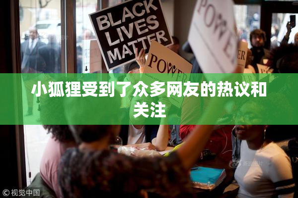 小狐狸受到了众多网友的热议和关注