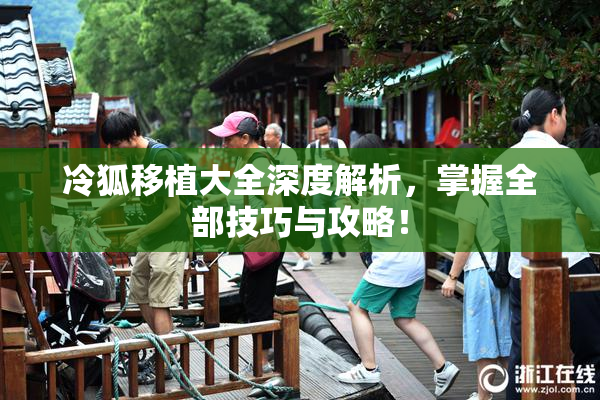 冷狐移植大全深度解析，掌握全部技巧与攻略！