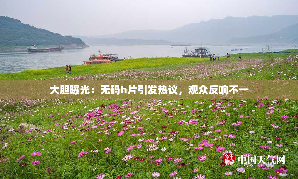 大胆曝光：无码h片引发热议，观众反响不一